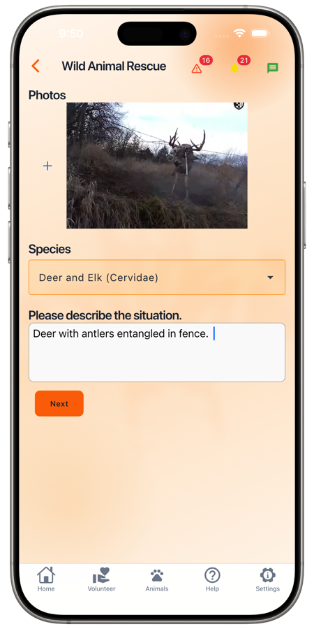 Rescue Alert screenshot 3